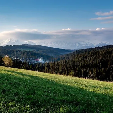 فندق Bukovina بوكافينا تترايسكا