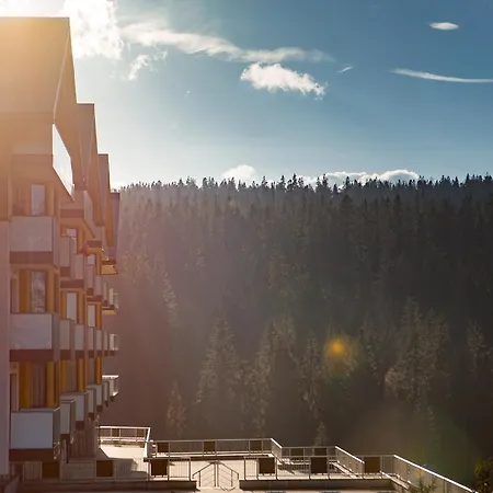 Bukovina فندق